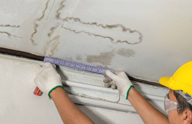 Reliable Water Damage contractor in Weimar, TX by Water Damage Irwin